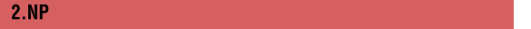 2.NP